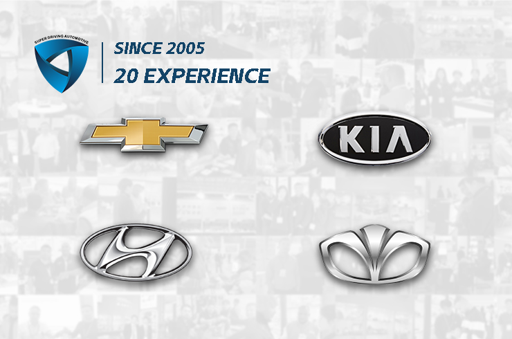 Business Scope of Super Driving